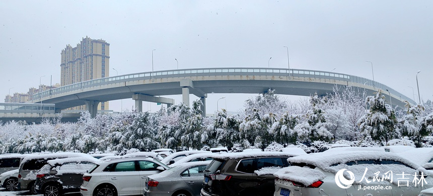 “邂逅”初雪 吉林省长春市今冬第一场雪如约而至【6】
